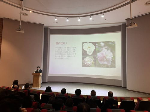 首屆芙蓉文化學(xué)術(shù)交流活動在蓉城隆重啟幕，共繪文化繁榮新圖景