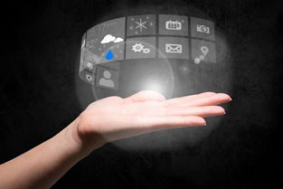 半自動(dòng)化運(yùn)維 基于服務(wù)器信息維護(hù)的信息系統(tǒng)運(yùn)行服務(wù)